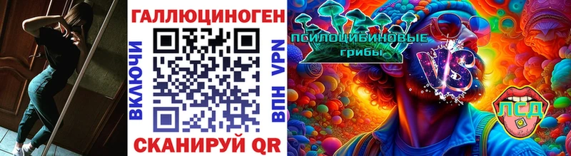 Купить  Скопин  Псилоцибиновые грибы Psilocybe 